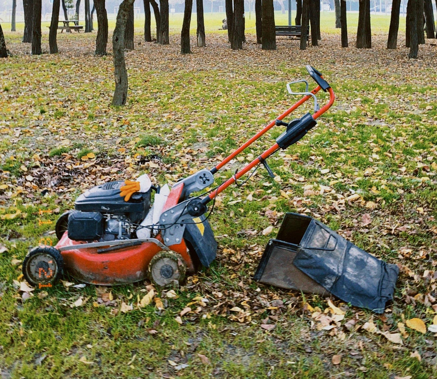 Garden Essentials